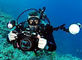 Cri 95 200W 300W CXA3590 Size 5600K  Led Strip For Underwater Video Light