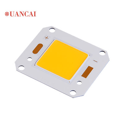 6500k Floodlight COB Chip