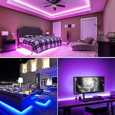 CE ROHS  10MM  12MM Tunable Cob Led Strip DC24V 2700k 6500K